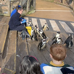 Willow and Cherry's Trip to Living Coasts